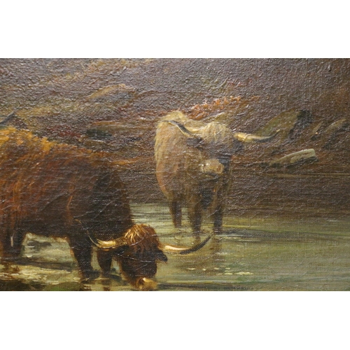 51 - Large 19th Century English School Oil on Canvas of Highland Cattle Scene - Indistinguishably Signed ... 