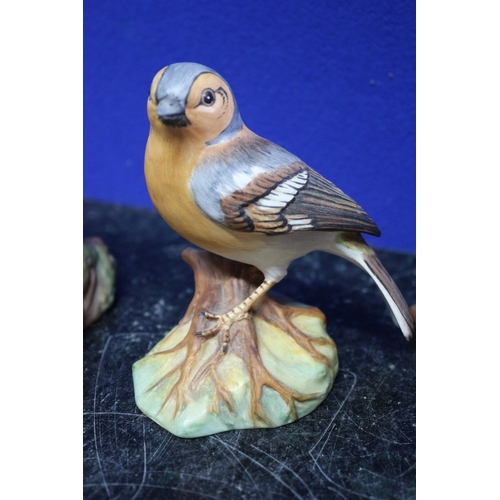 64 - 3 x Coalport RSPB Birds - Tallest 11cm