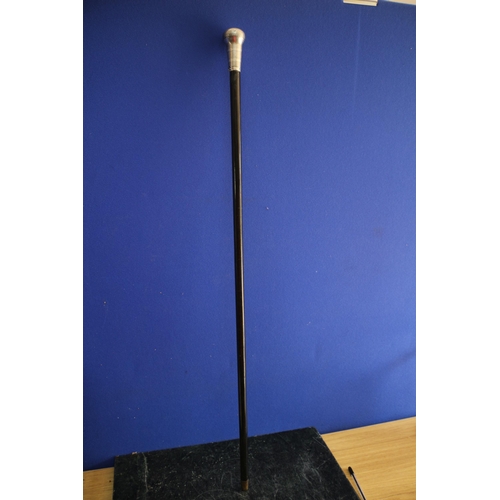 108 - Ebony and Silver Topped Cane