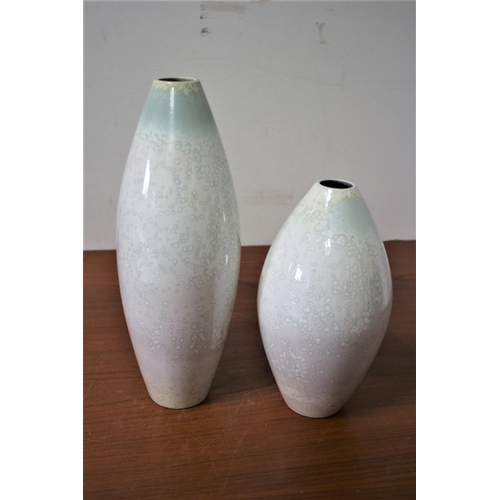 195 - 2 x Cobridge Stoneware Pottery Vases - This is an Associate Company - up and coming Collectors Items... 