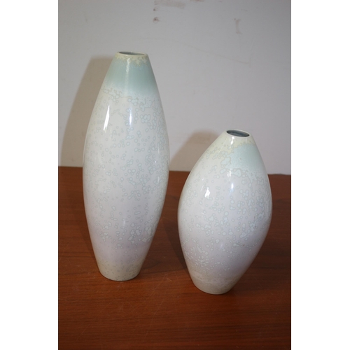 195 - 2 x Cobridge Stoneware Pottery Vases - This is an Associate Company - up and coming Collectors Items... 