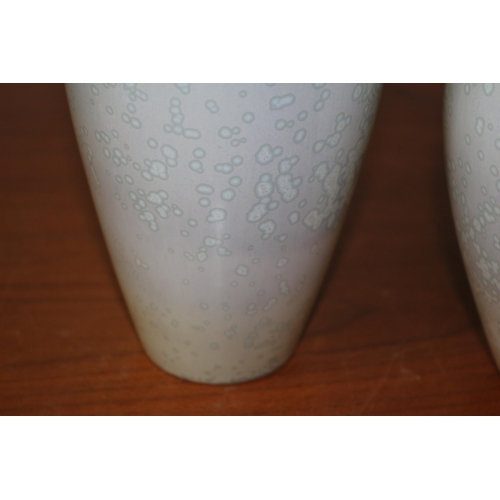 195 - 2 x Cobridge Stoneware Pottery Vases - This is an Associate Company - up and coming Collectors Items... 