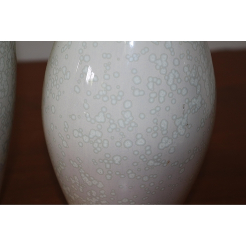 195 - 2 x Cobridge Stoneware Pottery Vases - This is an Associate Company - up and coming Collectors Items... 