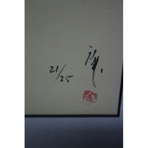 245 - Chen Yang Signed Limited Edition - 21 / 25 - Chinese Dragon - 57 x 46.5cm