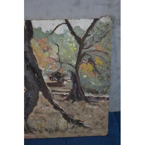 278 - Oil on Board Original Painting by Morgan Arthur Thornley - Horse by Tree - 30 x 21.5cm