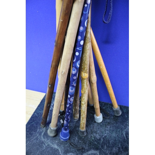 9 - Collection of Various Designs of Walking Sticks including Adjustable Rambler Sticks