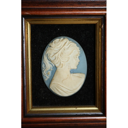 121 - Very Nice Framed Blue Cameo of Side Profile of a Lady