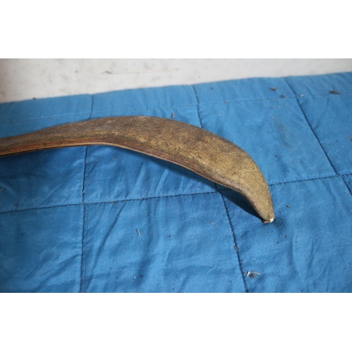 126 - Aged Large Pecay Seed Pod - 33cm