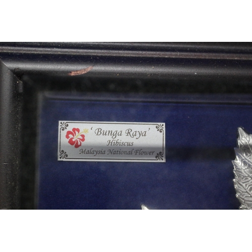 149 - Informed to be Pewter - Hibiscus Award - Malaysian National Flower in Frame