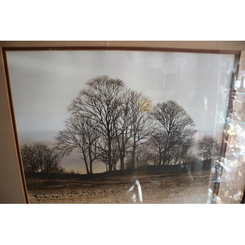 294 - Large Print of Trees, Believed to be Canadian, 59cm x 69cm