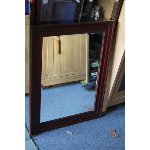 295 - 2 Large Mirrors, One Framed, One Unframed