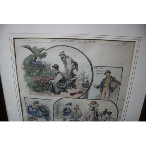 300 - Signed WHC Groome - Wood Block, Hand Coloured Engraving, The Illustrated London News 1889 - 50 x 40 ... 