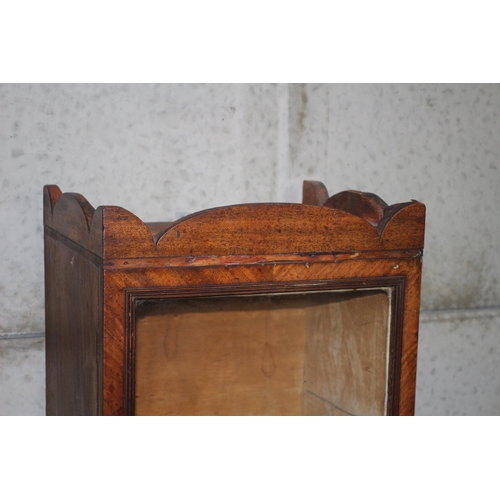 395 - Early 20th Century Wall Hanging Display Cabinet, (Once Housing a Taxidermy Item) - Mahogany - 69.5 x... 