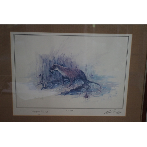 414 - Personally Signed by Angus Ogilvy and the Artist Print - Otter - Framed and Glazed