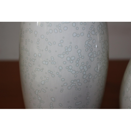 443 - 2 x Cobridge Stoneware Pottery Vases - This is an Associate Company - up and coming Collectors Items... 