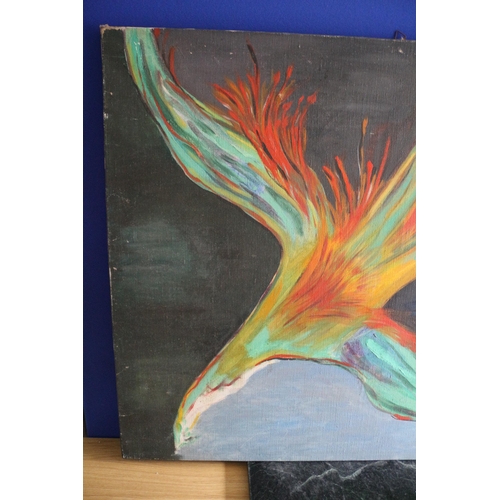 569 - Oil on Canvas Painting - The Fire Bird
100cm x 82cm