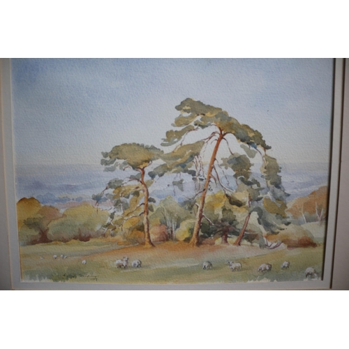 35 - Watercolour of Countryside scene, Molly Standing, 1989, No Glass. 49 x 41 cm