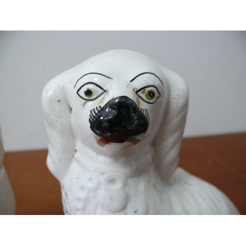 271 - Believed to be Victorian Era Pair of Staffordshire Spaniels Figurines