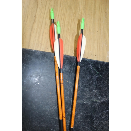 300 - Geologic Startech II Bow & Geologic Sucker Head Arrows