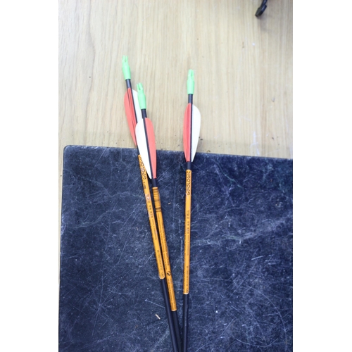 300 - Geologic Startech II Bow & Geologic Sucker Head Arrows