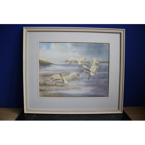 369 - Coastal Scene with Landing Birds, Faulds, No Glass, 47 x 40cm