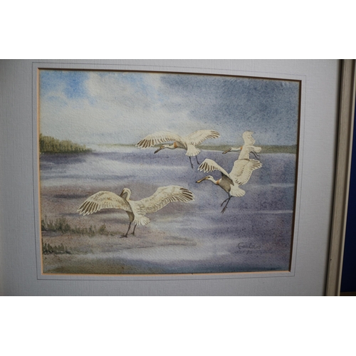 369 - Coastal Scene with Landing Birds, Faulds, No Glass, 47 x 40cm