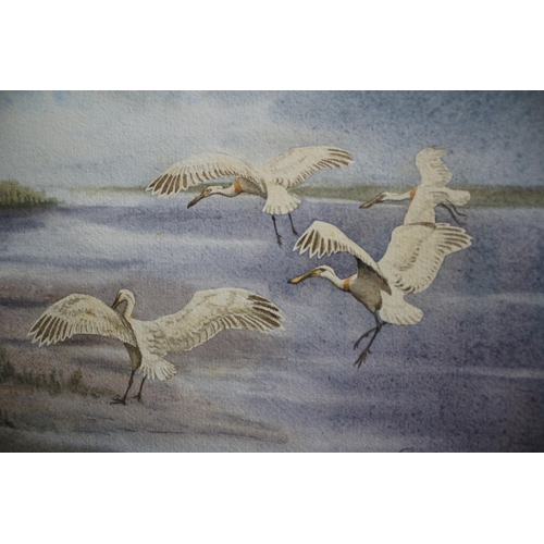 369 - Coastal Scene with Landing Birds, Faulds, No Glass, 47 x 40cm