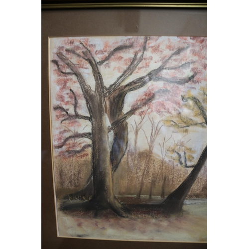 407 - Pastel of Trees and Woodland , 61.5 x 42.5cm