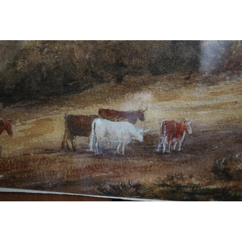 422 - Aged Watercolour of Cowboy with Cows, Mountain Scene, 60 x 47cm