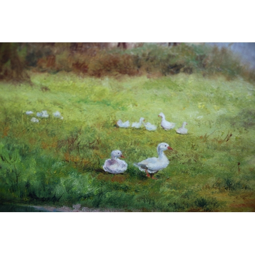 470 - Oil on Canvas by Eileen Blundell, 64 x 54