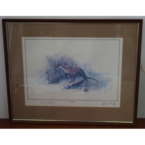 617 - Personally Signed by Angus Ogilvy and the Artist Print - Otter - Framed and Glazed