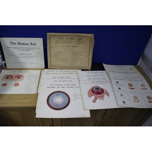 148 - 1912 'The Human Eye' Education Pack