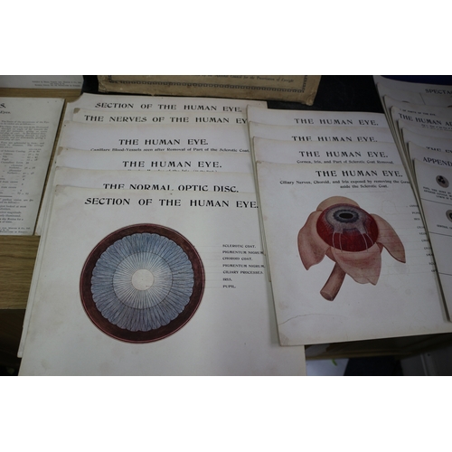 148 - 1912 'The Human Eye' Education Pack