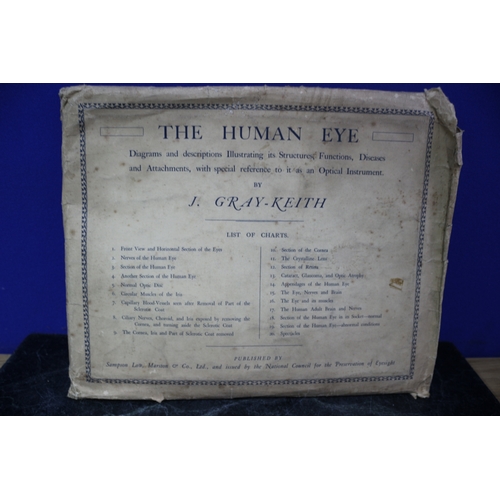 148 - 1912 'The Human Eye' Education Pack