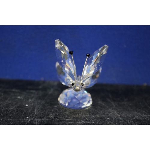 57 - Swarovski Butterfly, 5.5cm Tall