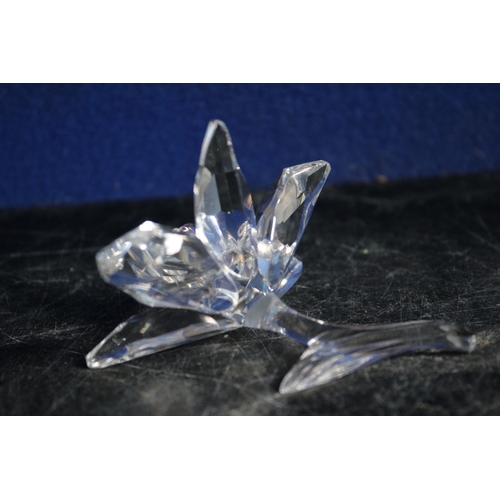 61 - Swarovski Lily, 8cm