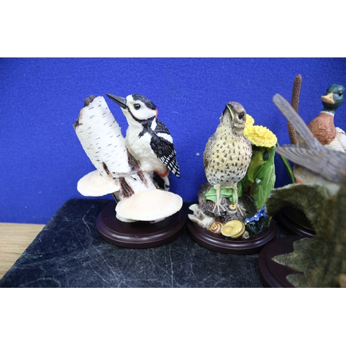 68 - 9 Bird Ornaments, 'The Bird Collection' & Border Fine Arts Blue Tit,