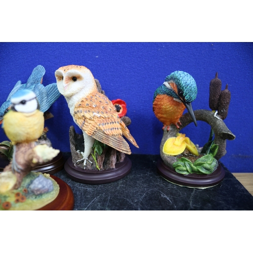 68 - 9 Bird Ornaments, 'The Bird Collection' & Border Fine Arts Blue Tit,