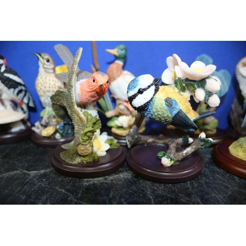 68 - 9 Bird Ornaments, 'The Bird Collection' & Border Fine Arts Blue Tit,