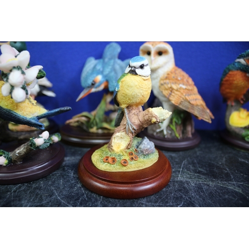 68 - 9 Bird Ornaments, 'The Bird Collection' & Border Fine Arts Blue Tit,