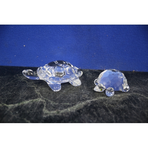 70 - Swarovski Tortoise & 1 Other Glass Turtle