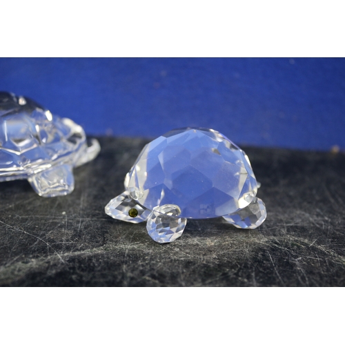 70 - Swarovski Tortoise & 1 Other Glass Turtle