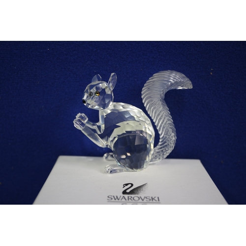 77 - Boxed Swarovski SCS Squirrel, 5.5cm Tall