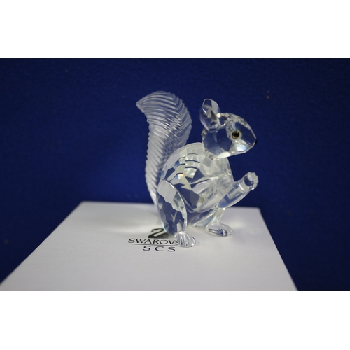 77 - Boxed Swarovski SCS Squirrel, 5.5cm Tall