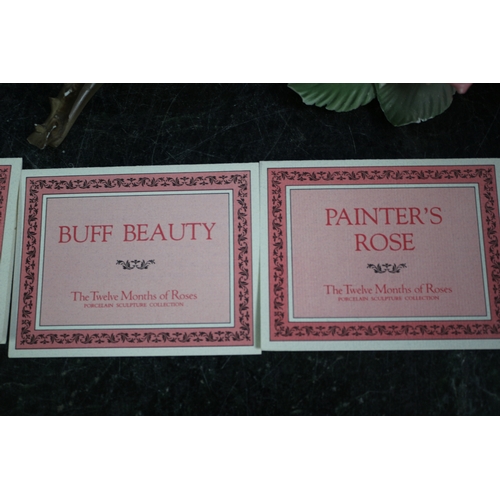 93 - Twelve Months of Roses Porcelain Flower Collection Including American Beauty, Rosa Alba, Buff Beauty... 