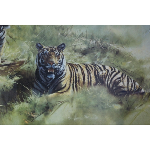 96 - Large Print of Tigers, Signed Leonard Pearmen, 74 x 54cm