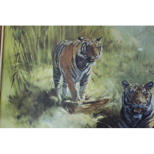 96 - Large Print of Tigers, Signed Leonard Pearmen, 74 x 54cm