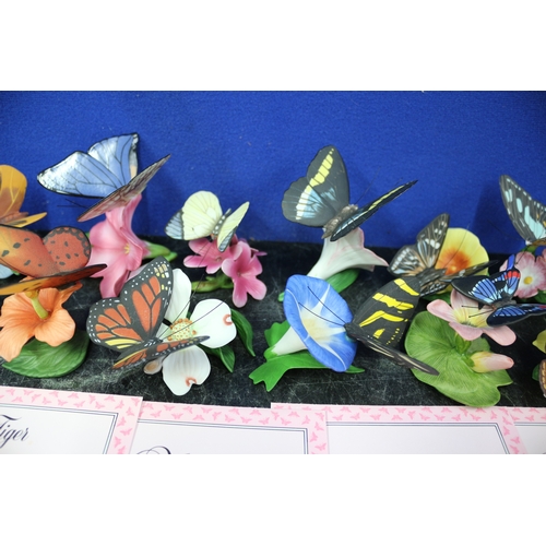 98 - 15 Franklin Mint Butterflies of the World, Butterfly Plate by Shudehill and Trinket Box