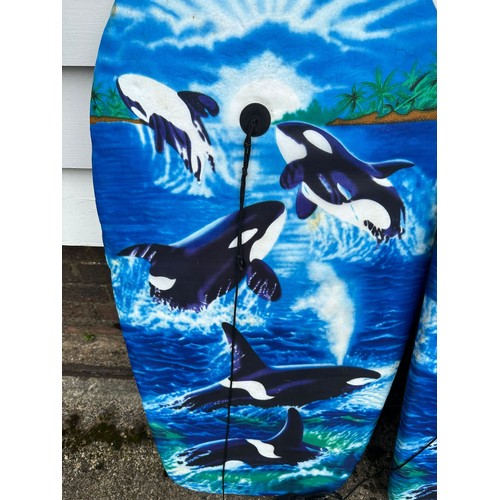 228 - x2 Bodyboards