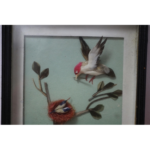 305 - Box Vintage Oriental Framed Bird Feeding Babies, Made from Feathers, 23.5cm Tall